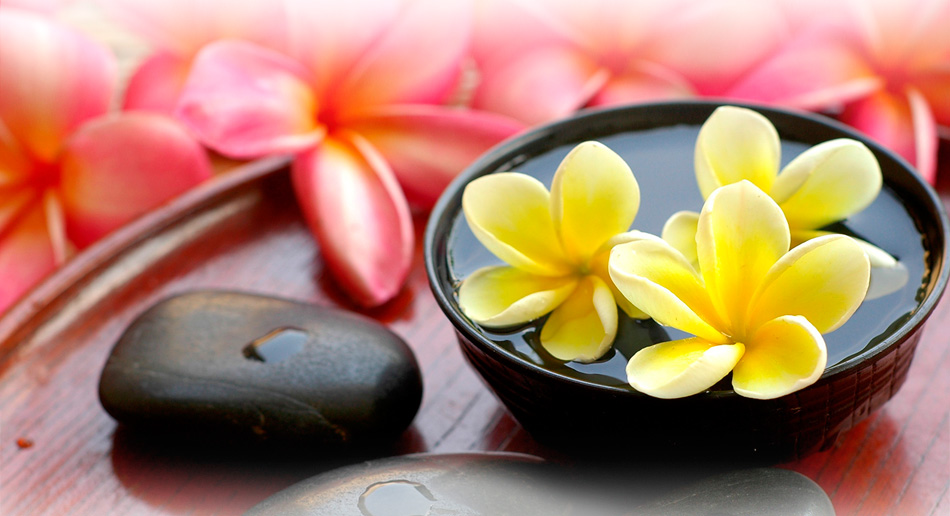 无限发短信验证码软件